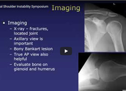 IASES/SESI Virtual Meeting